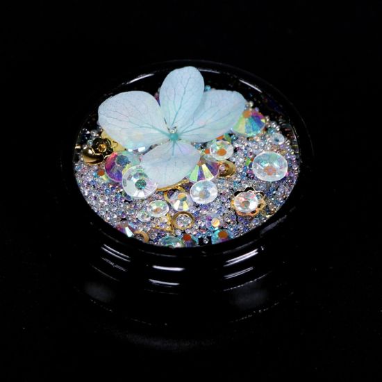 Nail Art Real Dry Flower Colored Diamonds Crystal Stones