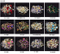 Flat Back Rhinestones Crystal Stones Diamonds for Nail Art Decoration